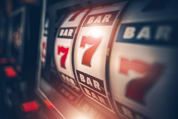 Dashboard shows live tier status and points balance surgavip rewards dashboard interface